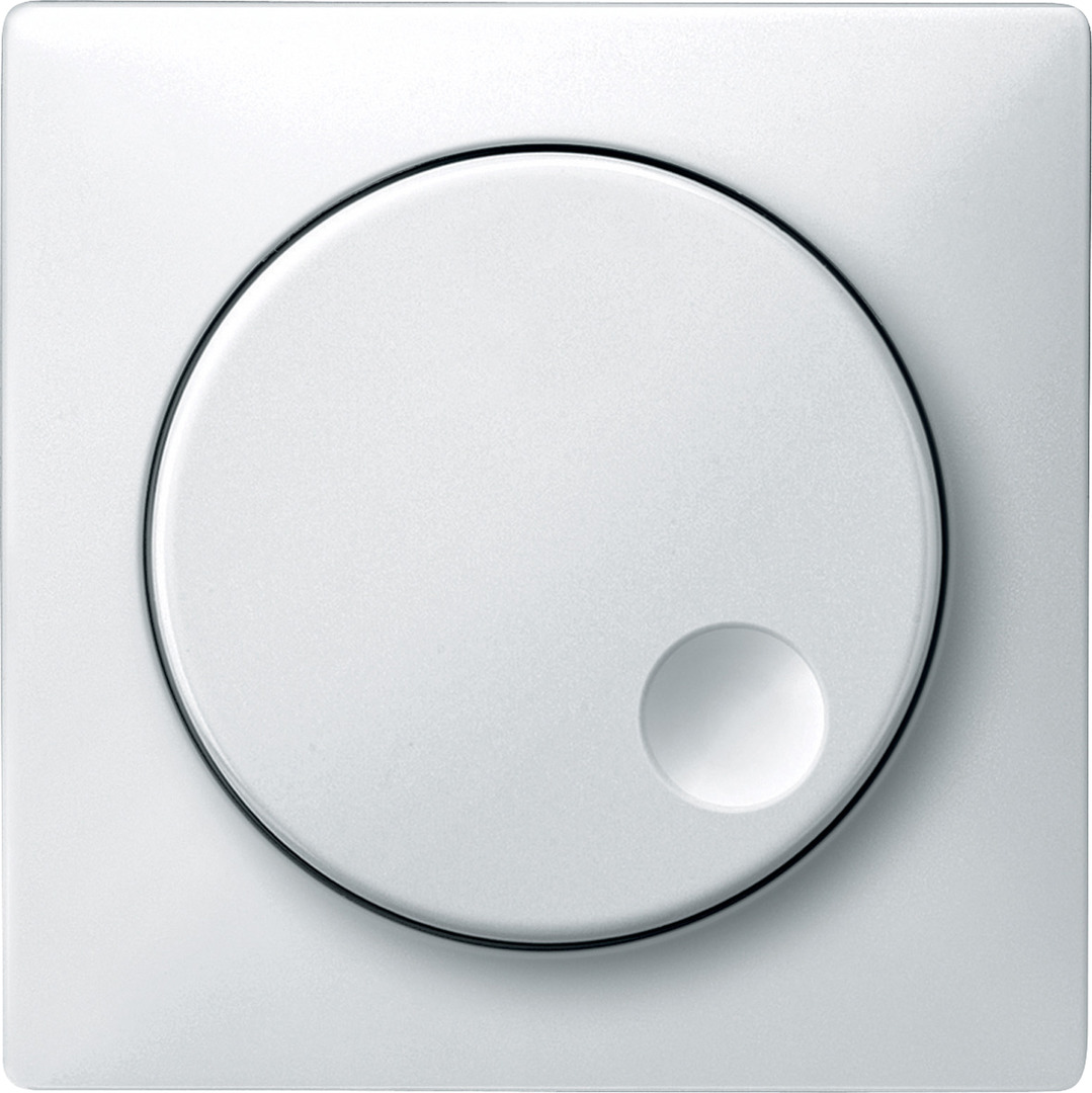Merten Zentralplatte MEG5250-0419 polarweiss System M 